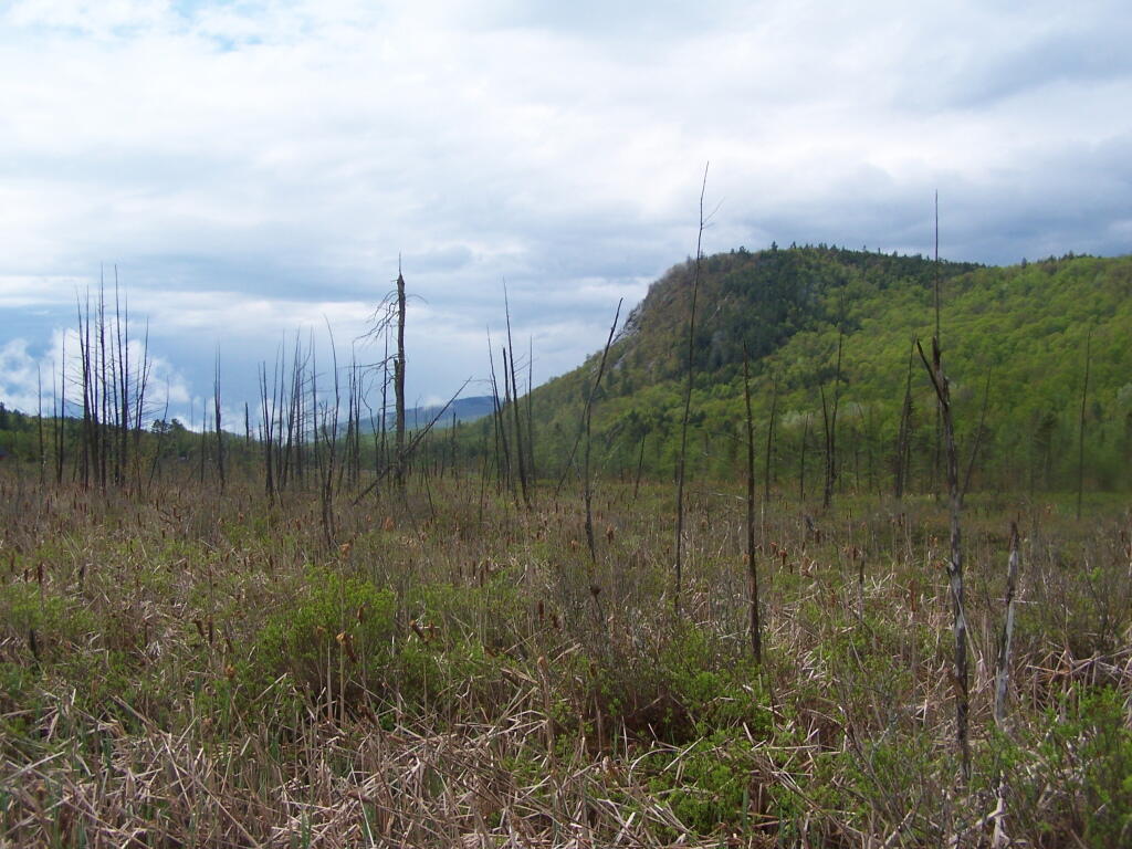 Photo: Moxham Valley Photo: Moxham Valley