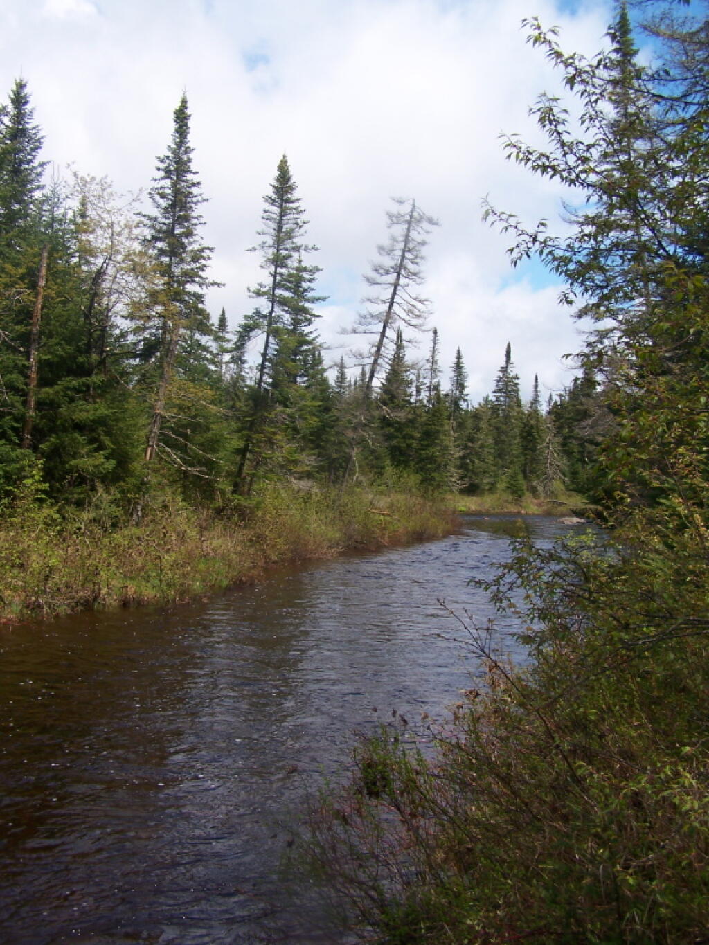 Photo: Boreas River Photo: Boreas River