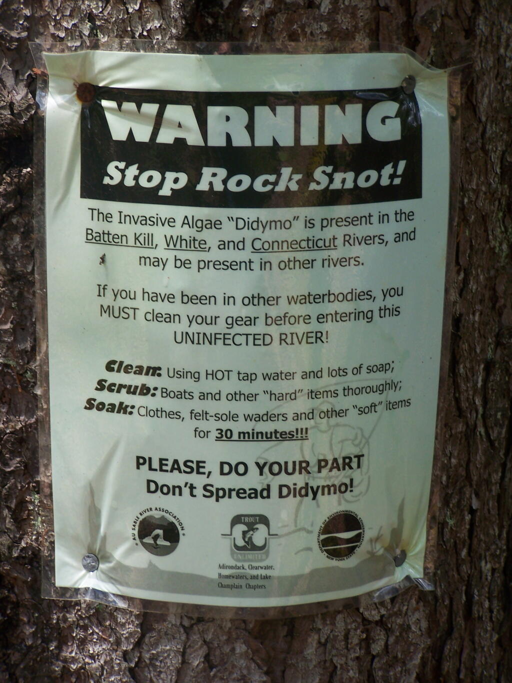 Photo: Warning Rock Snot! Photo: Warning Rock Snot!