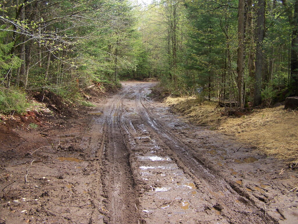 Photo: Muddier Section Photo: Muddier Section