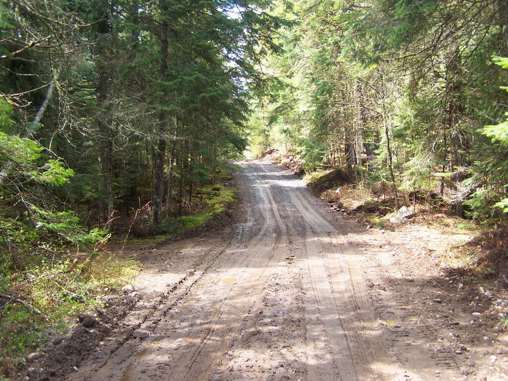 Photo: Another Muddy Section of Moose Club Way Photo: Another Muddy Section of Moose Club Way