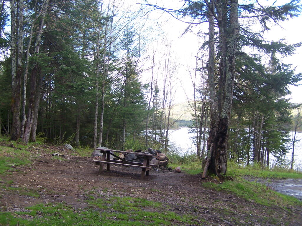 Photo: Road Campsite at Cheney Pond Photo: Road Campsite at Cheney Pond