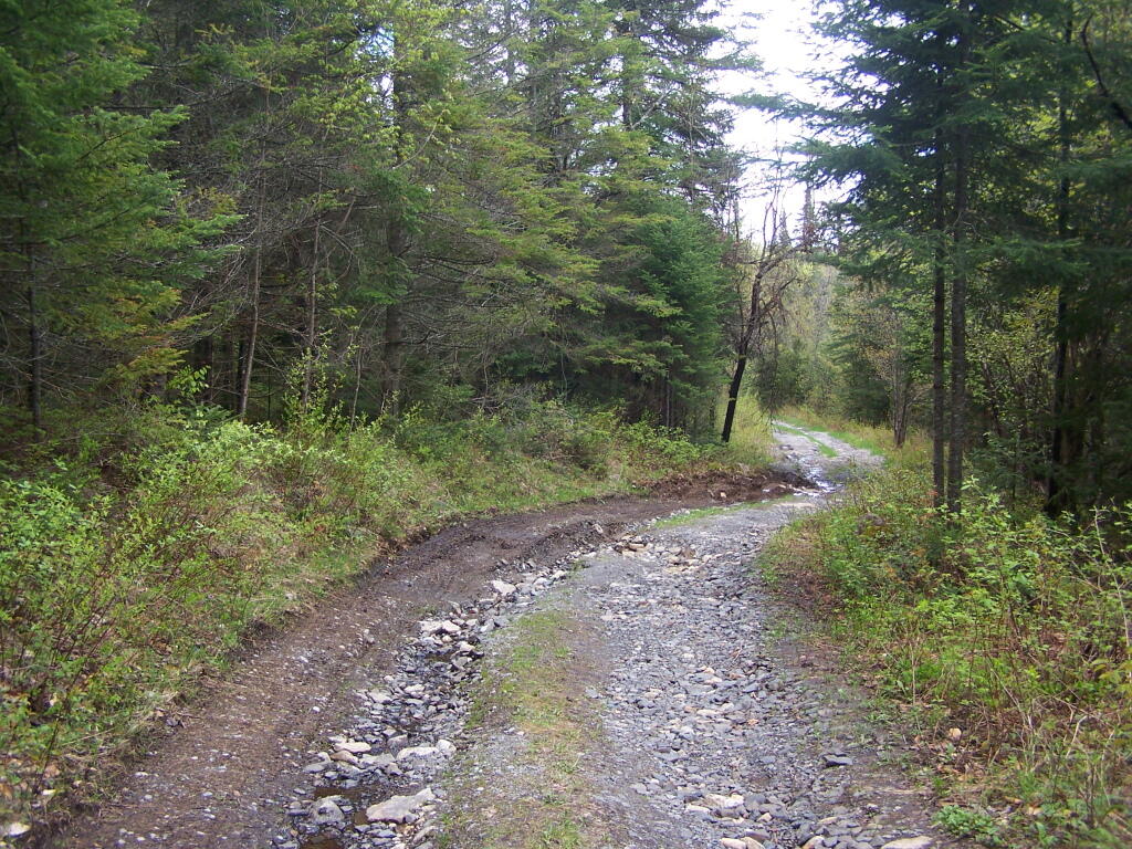 Photo: Washed Out Section of Cheney Pond Road Photo: Washed Out Section of Cheney Pond Road