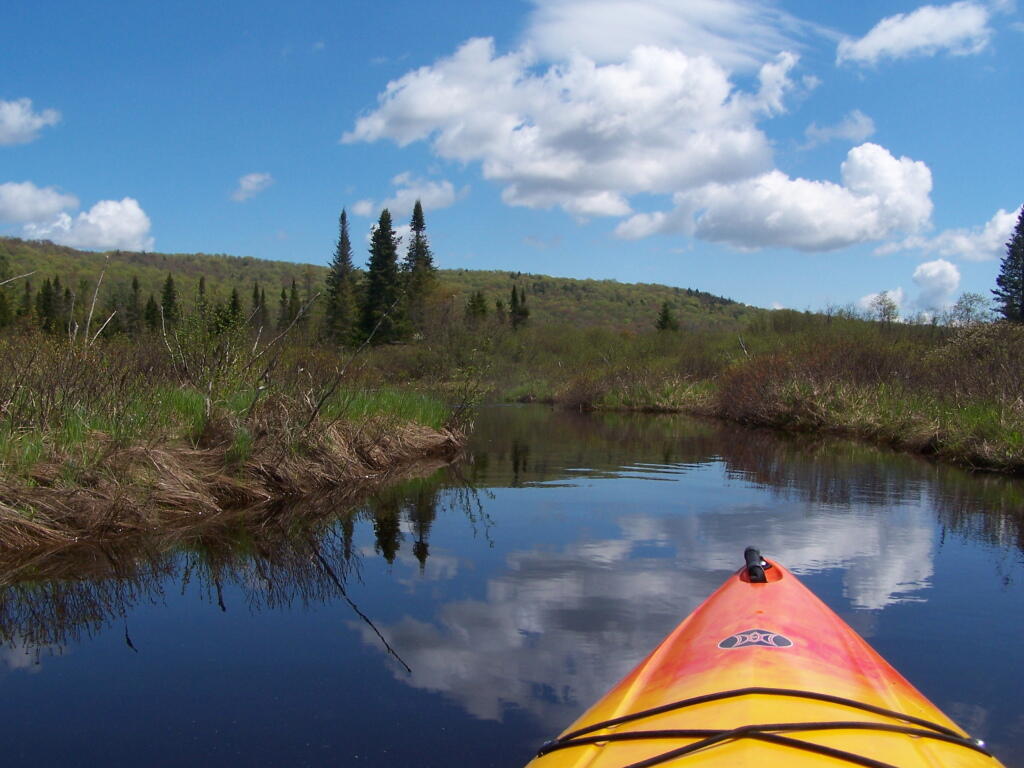 Photo: Cheney Pond Outlet Photo: Cheney Pond Outlet