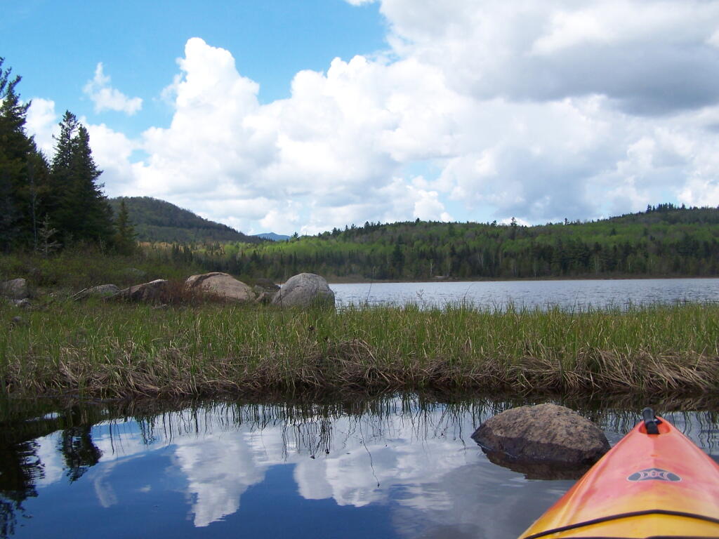 Photo: Exploring Marshy End of Cheney Pond Photo: Exploring Marshy End of Cheney Pond