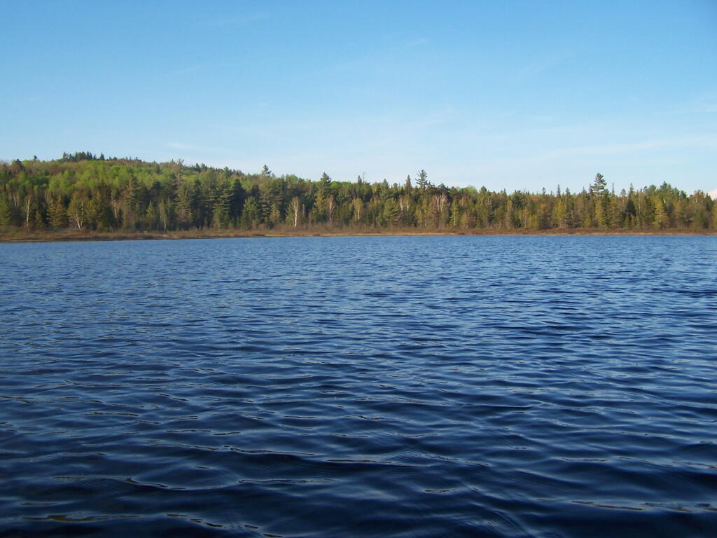 Photo: Flat Edge of Lester Flow Photo: Flat Edge of Lester Flow