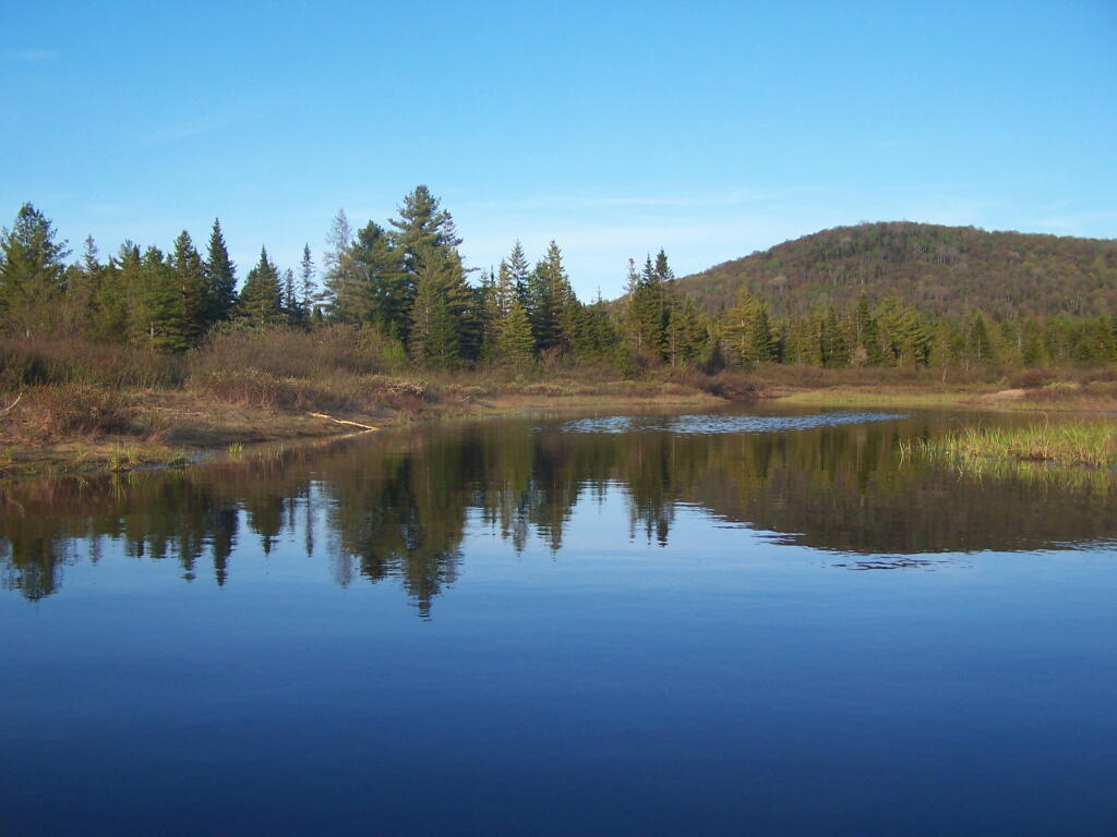 Photo: East on Cheney Pond Photo: East on Cheney Pond