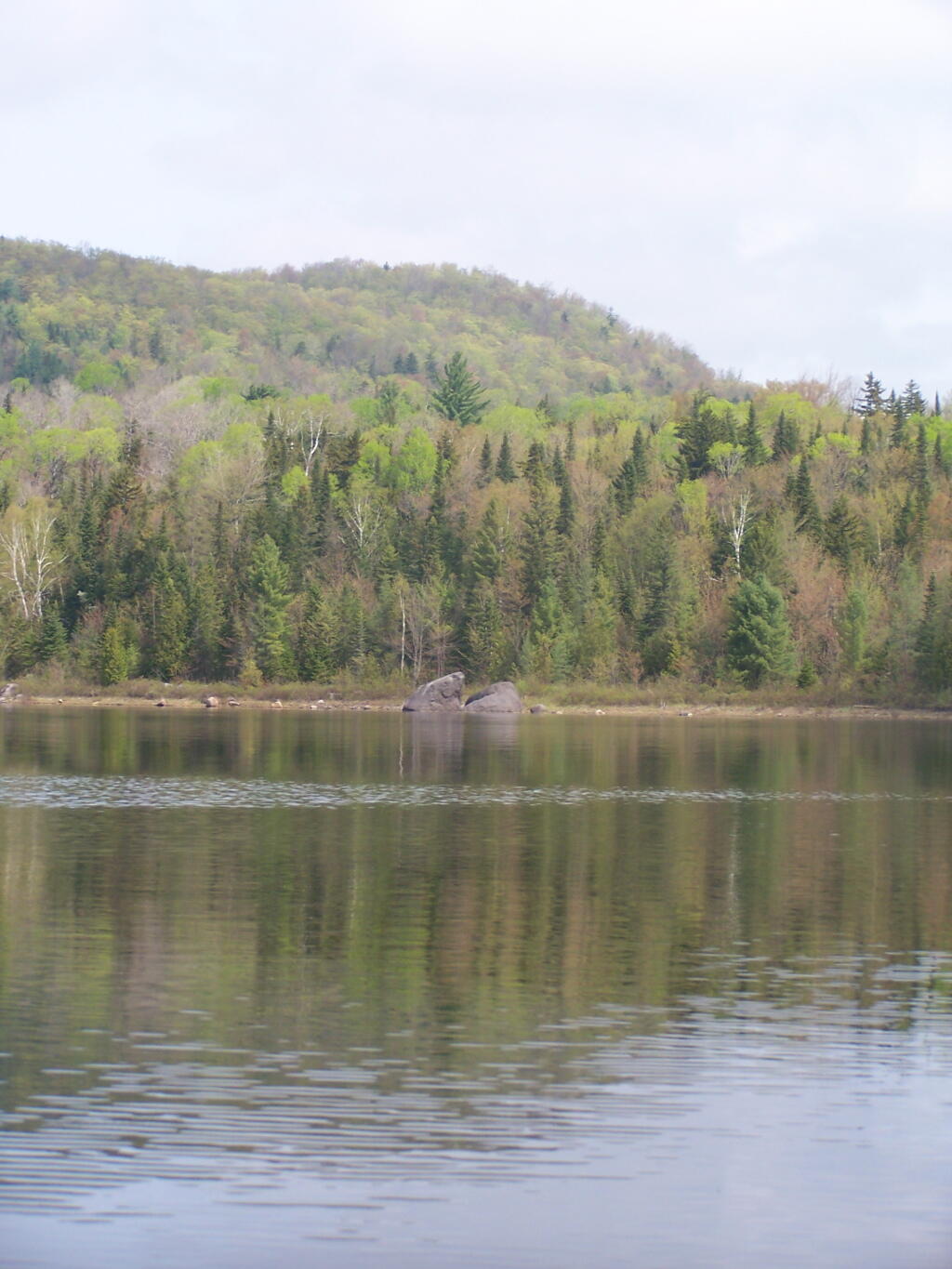 Photo: Boulders Along the Edge of Cheney Pond Photo: Boulders Along the Edge of Cheney Pond