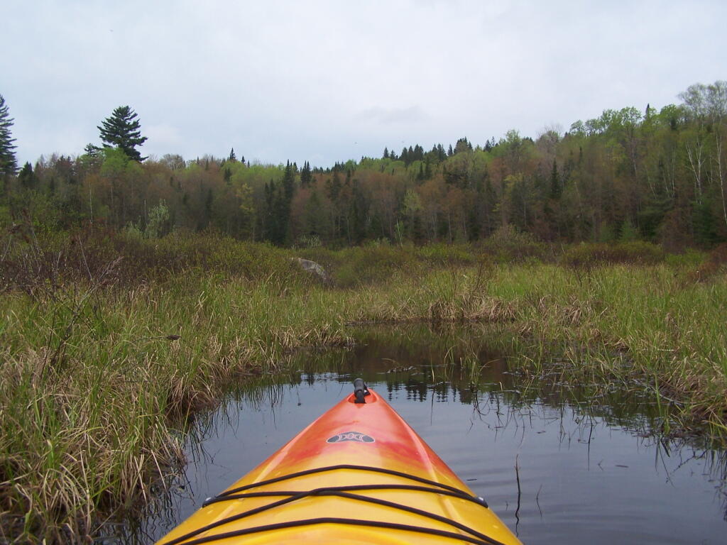 Photo: Exploring Channel Off Cheney Pond Photo: Exploring Channel Off Cheney Pond
