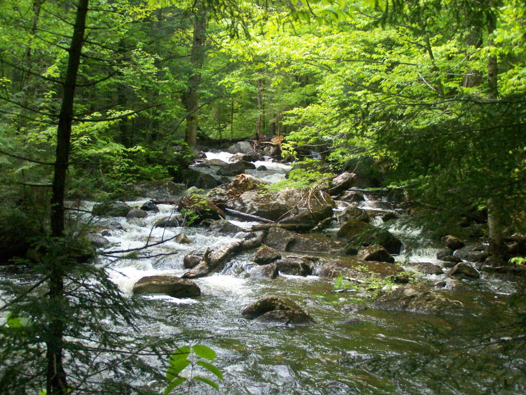 Photo: Waterfalls Below Big Alderbed Photo: Waterfalls Below Big Alderbed