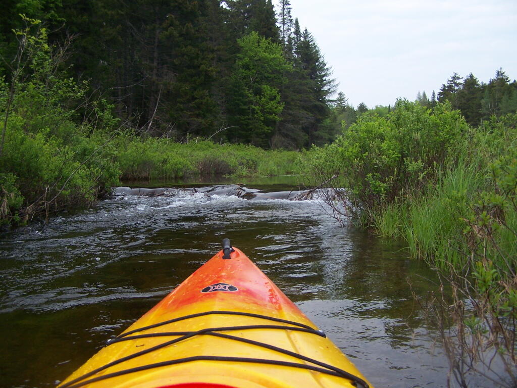 Photo: Big Beaver Dam Ahead Photo: Big Beaver Dam Ahead