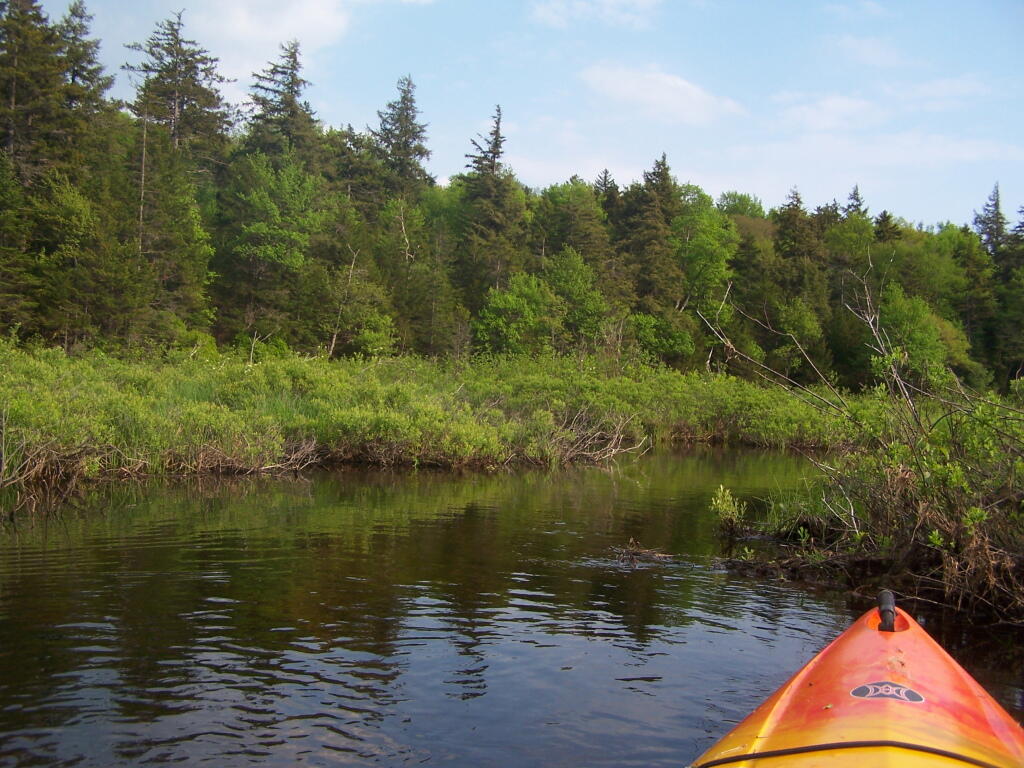 Photo: Heading Back to Camp