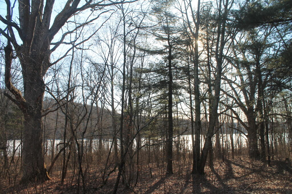 Photo: View of Pond from Camp Photo: View of Pond from Camp