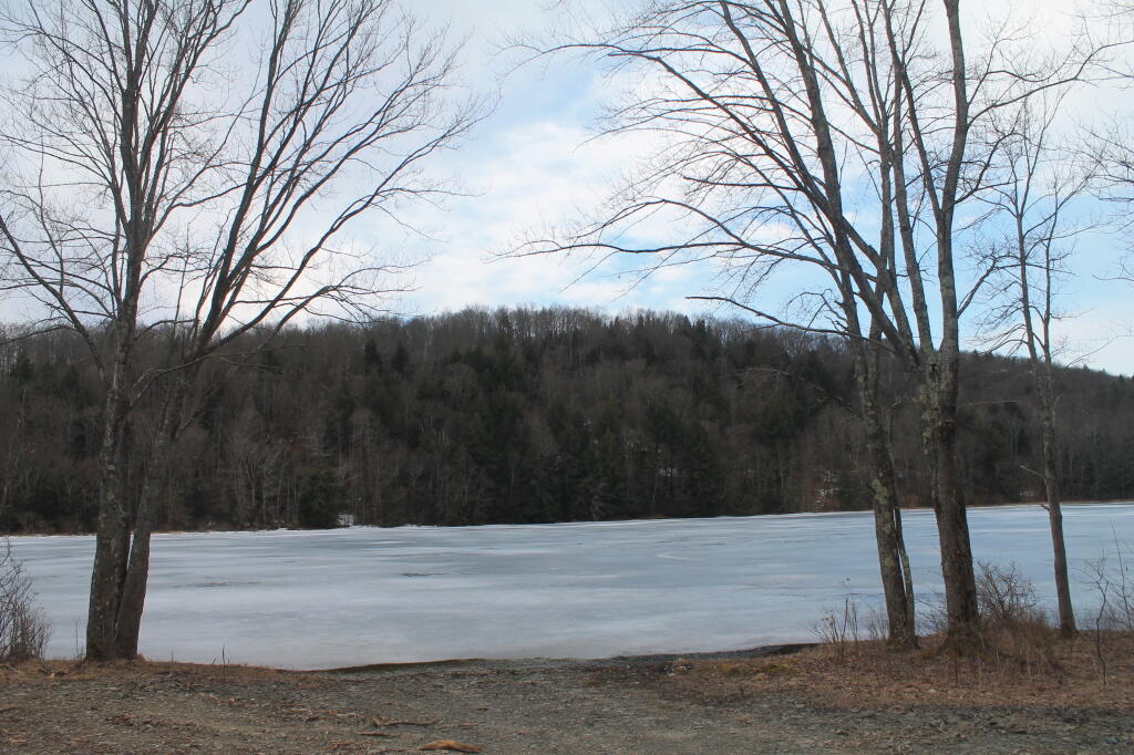 Photo: Down By Long Pond Photo: Down By Long Pond