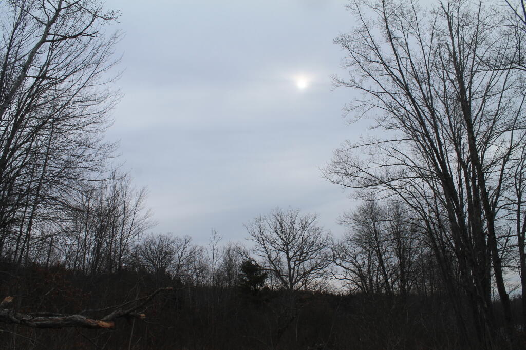 Photo: Cloudy Morning Photo: Cloudy Morning