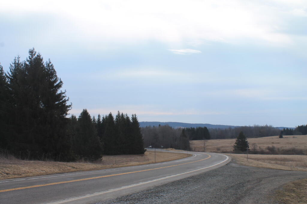 Photo: NY 41 Heading Into Smithville Flats Photo: NY 41 Heading Into Smithville Flats