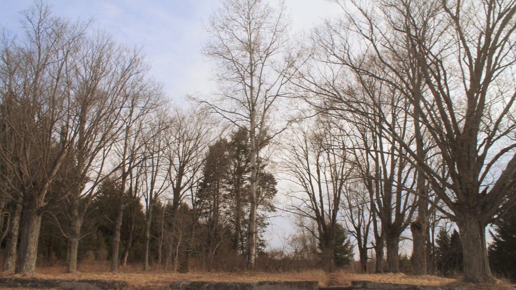 Photo: Tarbell Farms Foundation Photo: Tarbell Farms Foundation