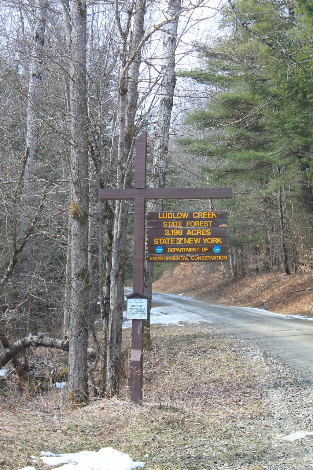 Photo: Ludlow Creek State Forest Photo: Ludlow Creek State Forest