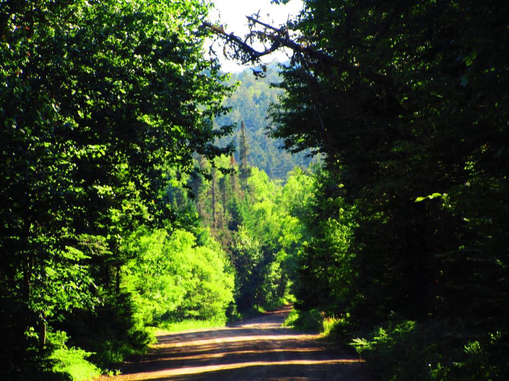 Photo: Powley Road Photo: Powley Road