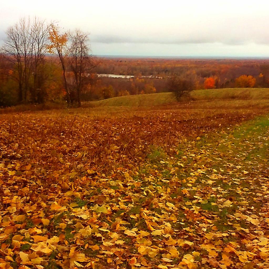 Photo: Autumn Photo: Autumn