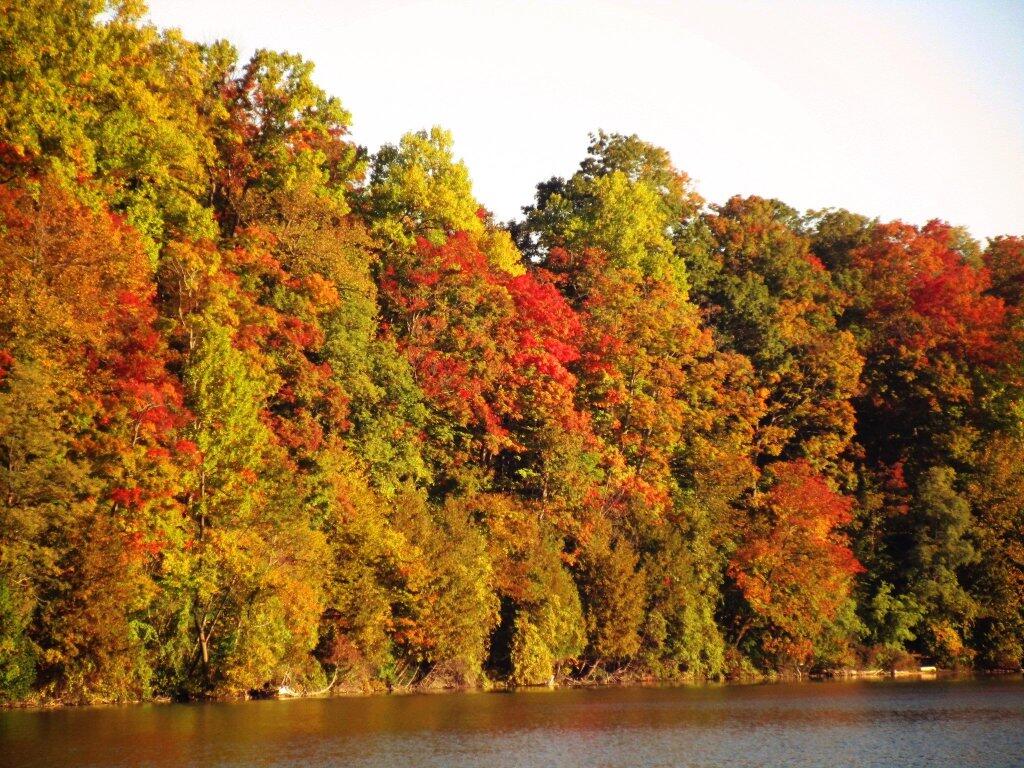 Photo: Autumn Is Coming Photo: Autumn Is Coming