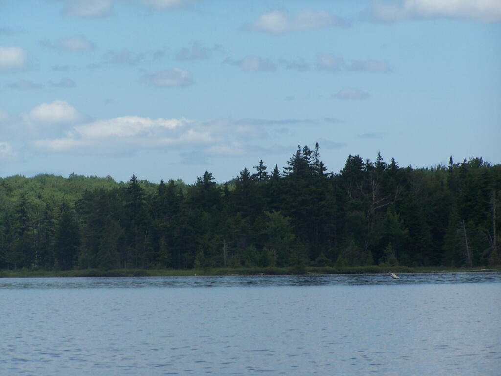 Photo: Motor Boat Photo: Motor Boat