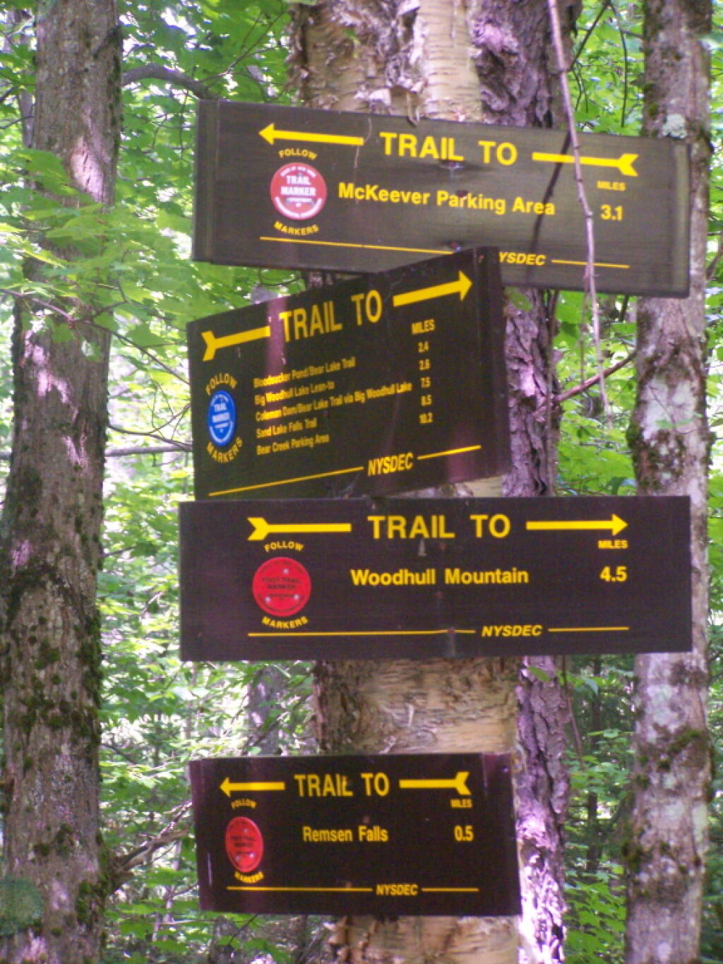 Photo: Intersection of Woodhull Mountain Trail and Remsen Falls Trail Photo: Intersection of Woodhull Mountain Trail and Remsen Falls Trail