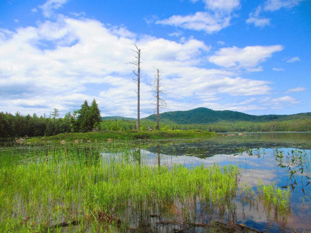 Photo: Wilcox Lake Photo: Wilcox Lake
