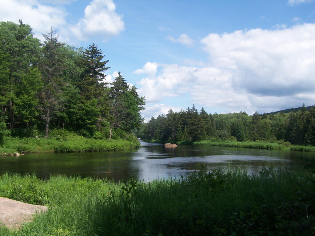 Photo: East on Middle branch of Moose River Photo: East on Middle branch of Moose River