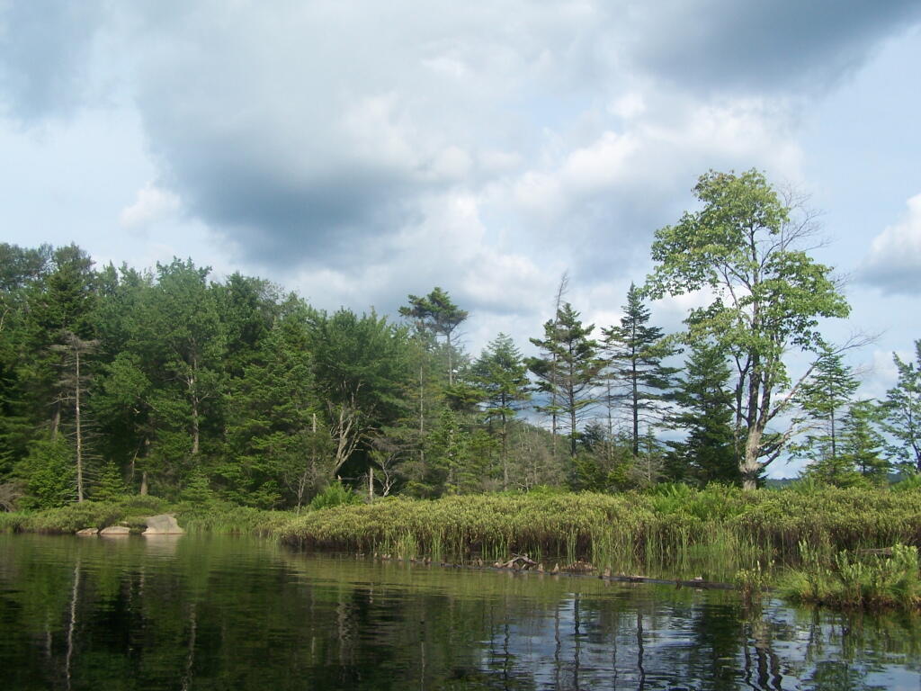 Photo: Exploring Back of Island Photo: Exploring Back of Island