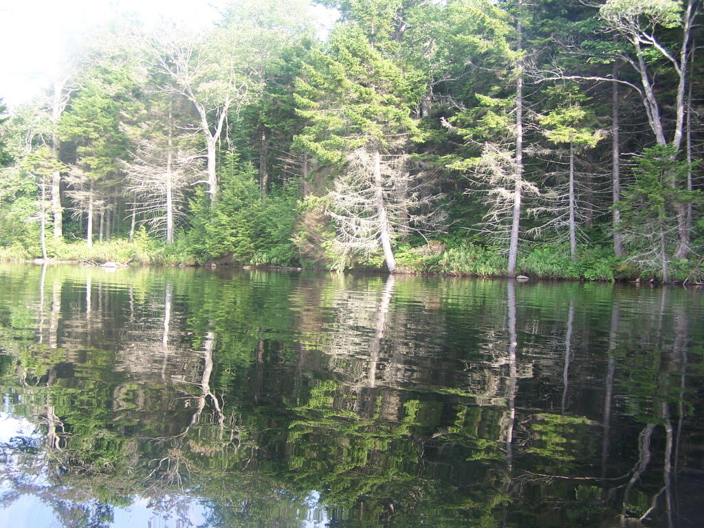 Photo: Reflections Photo: Reflections