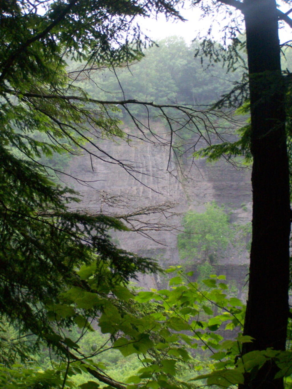 Photo: Canyon Wall