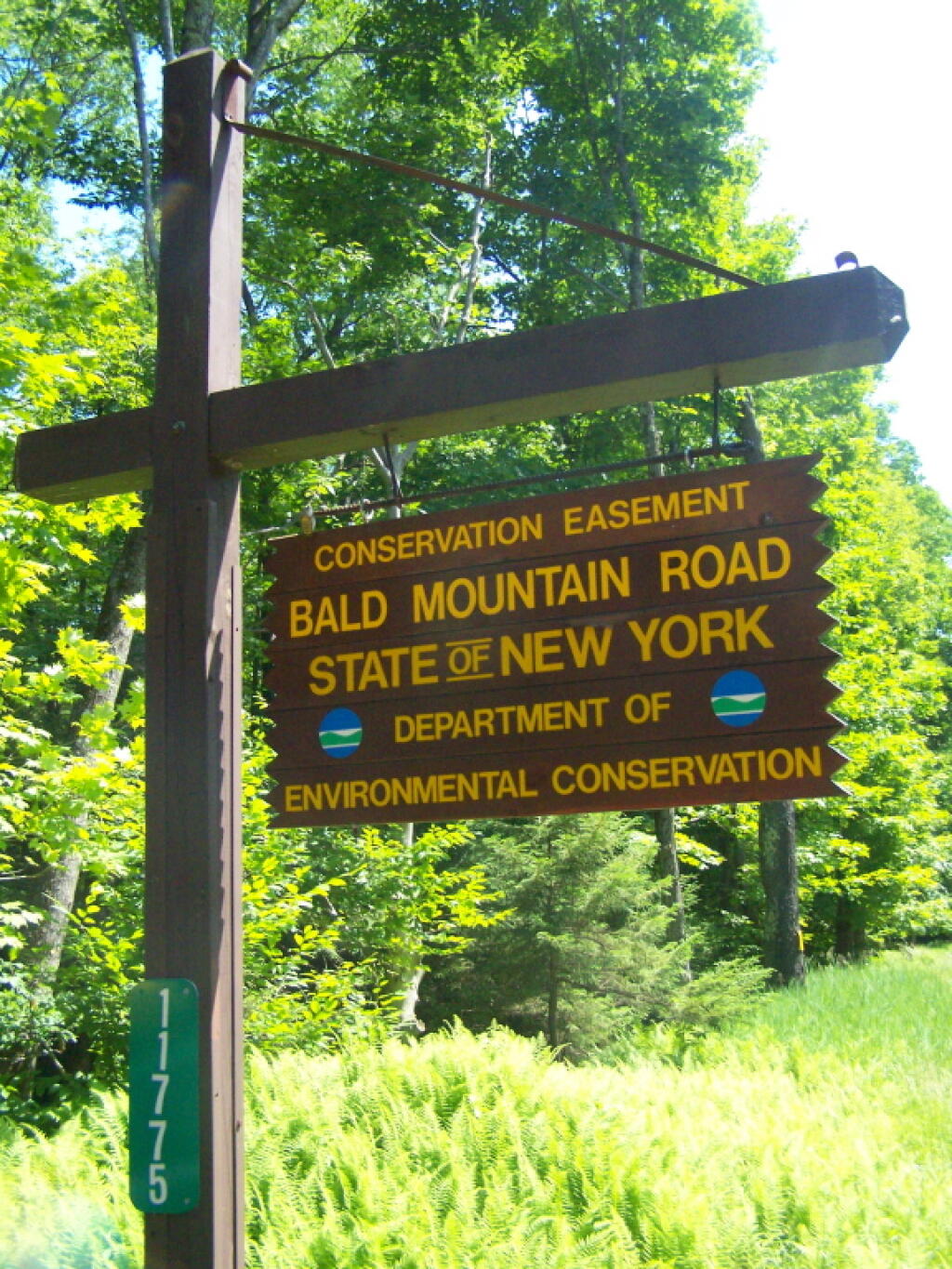 Photo: Bald Mountain Road Sign Photo: Bald Mountain Road Sign