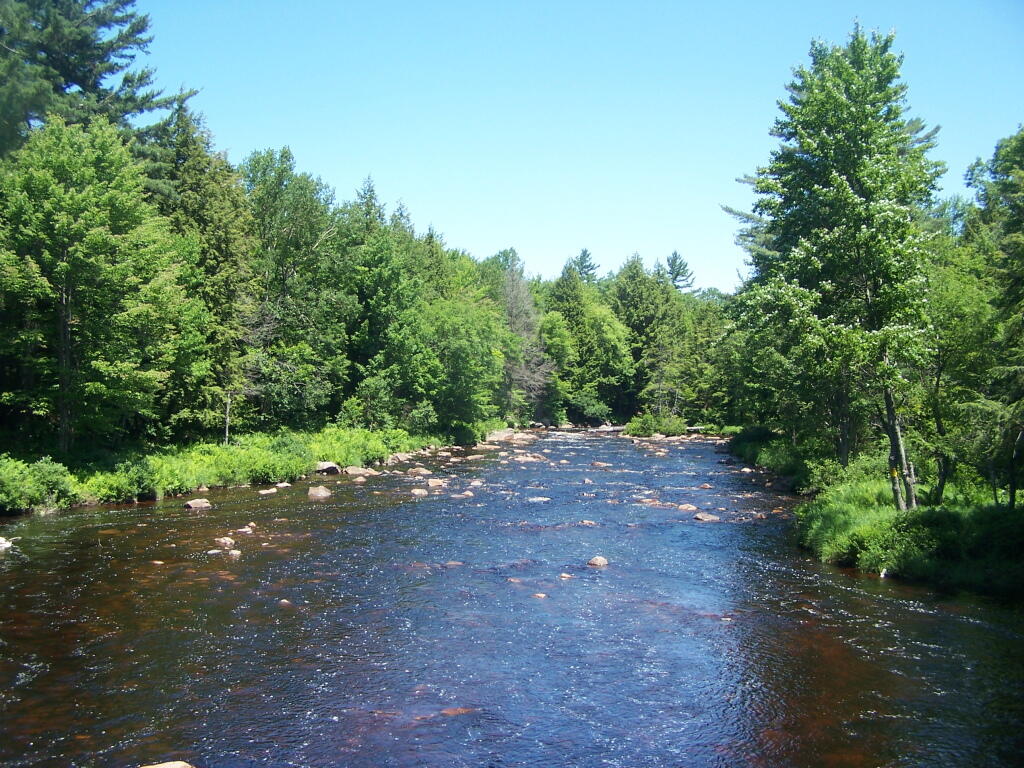 Photo: Lower Oswegatchie River Photo: Lower Oswegatchie River