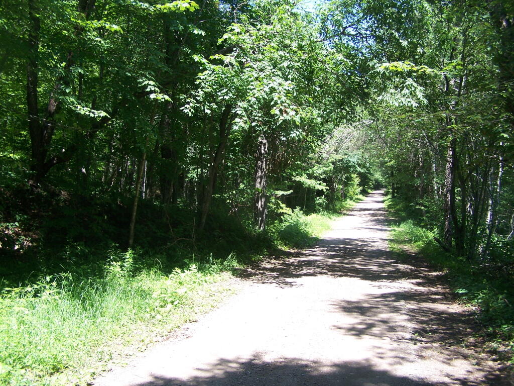 Photo: Streeter Lake Road Photo: Streeter Lake Road