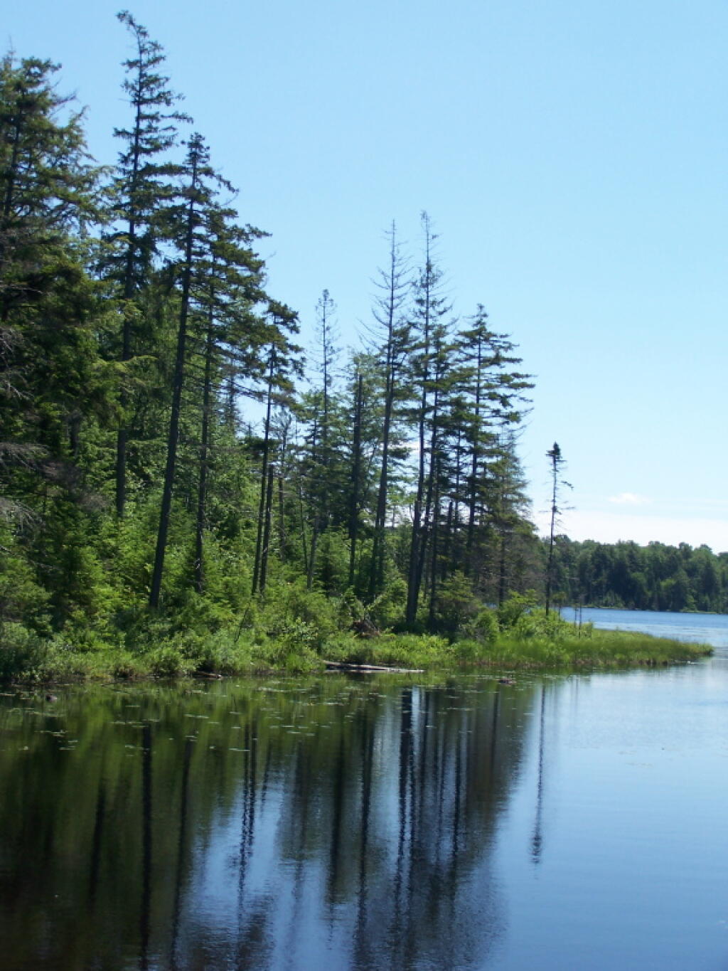 Photo: Edge of Streeter Lake Photo: Edge of Streeter Lake