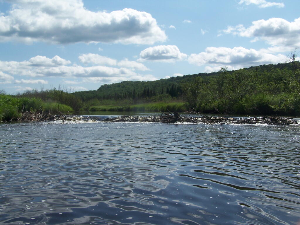Photo: Big Beaver Dam Photo: Big Beaver Dam