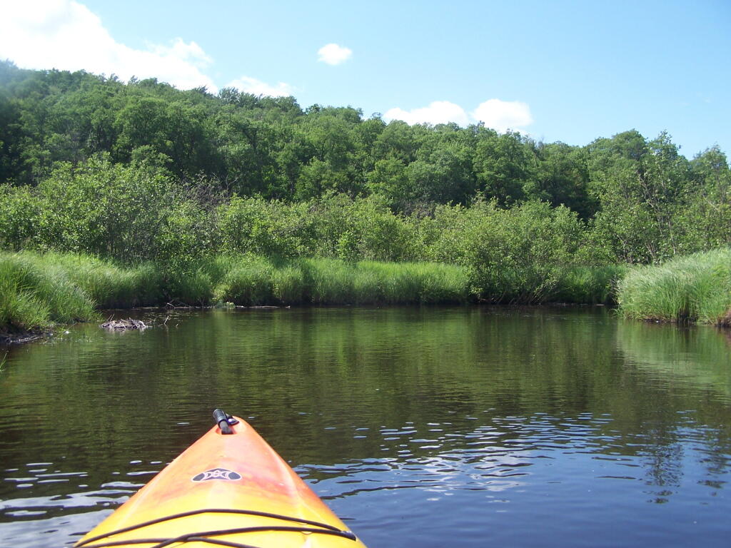 Photo: Paddling Along Mud River Photo: Paddling Along Mud River