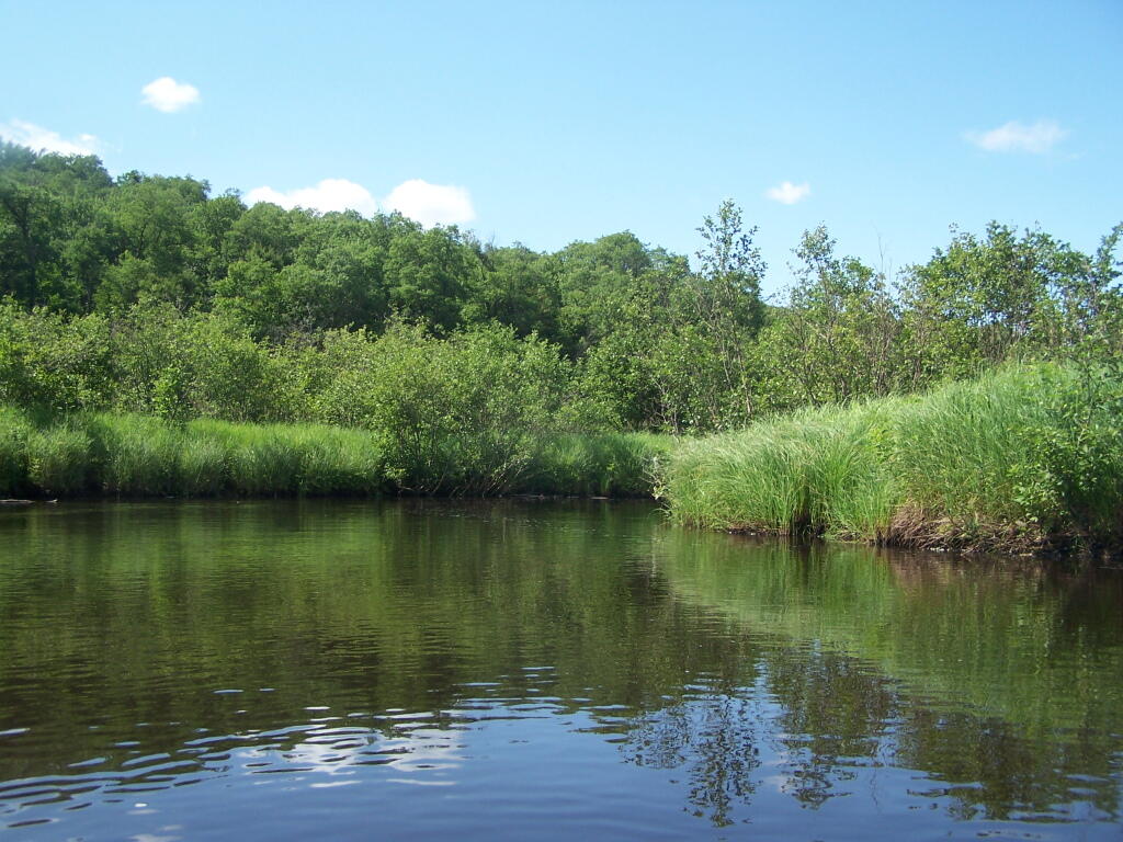 Photo: Mud River Photo: Mud River