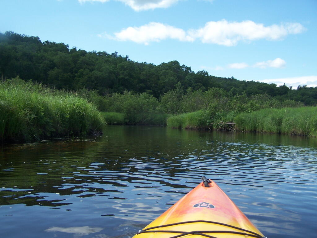 Photo: Along the Mud River Photo: Along the Mud River