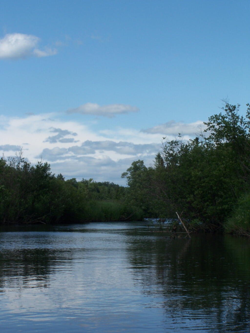 Photo: Untitled Photo: Untitled