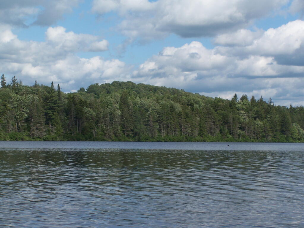 Photo: Streeter Mountain Photo: Streeter Mountain
