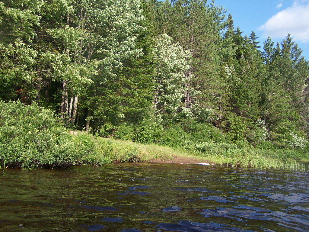 Photo: Campsite Along Lake Photo: Campsite Along Lake