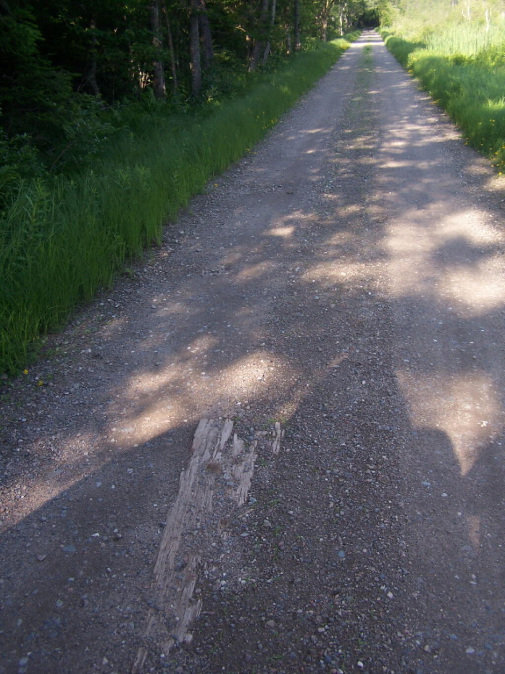 Photo: Old Board Road Photo: Old Board Road