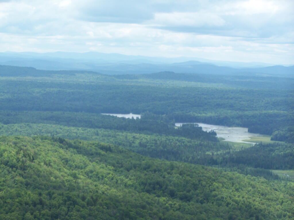 Photo: Lows Lake Photo: Lows Lake