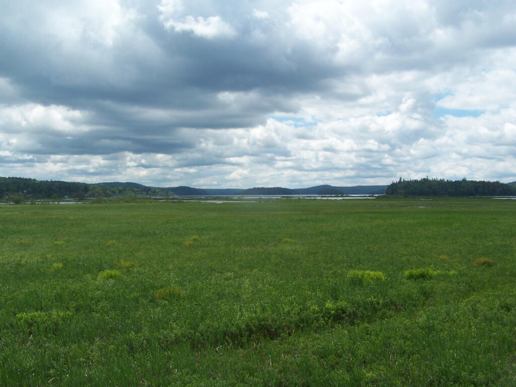 Photo: Tupper Lake Photo: Tupper Lake