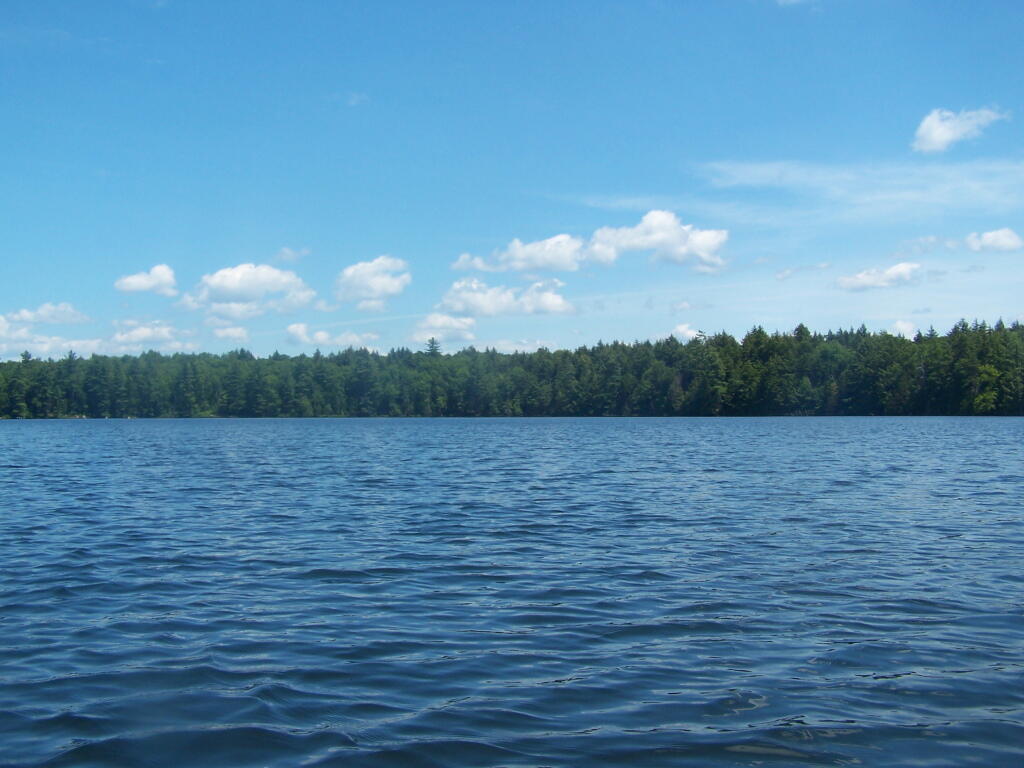 Photo: Out on Whey Pond Photo: Out on Whey Pond