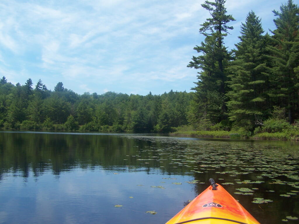 Photo: Back Out on Floodwood Pond Photo: Back Out on Floodwood Pond