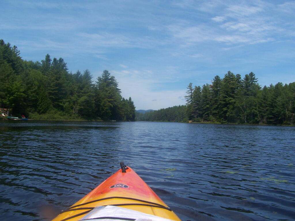 Photo: Towards St Regis Mountain Photo: Towards St Regis Mountain