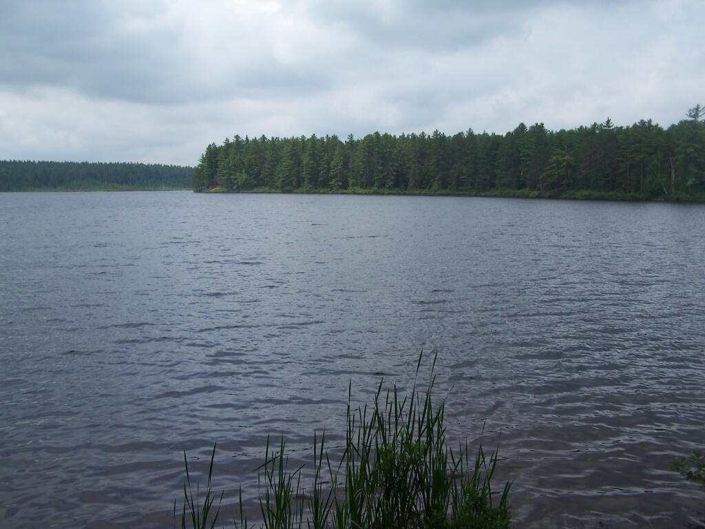 Photo: Jones Pond Photo: Jones Pond